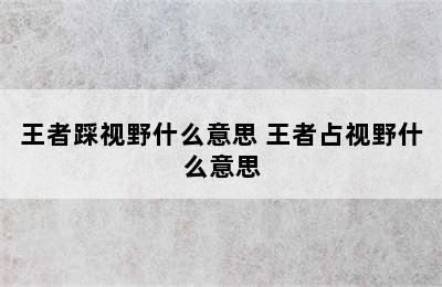 王者踩视野什么意思 王者占视野什么意思